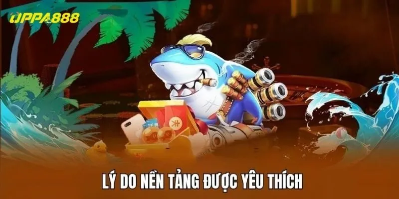 Lý do nền tảng được yêu thích