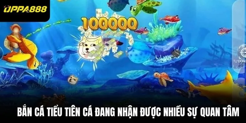 Bắn cá tiểu tiên cá đang nhận được nhiều sự quan tâm