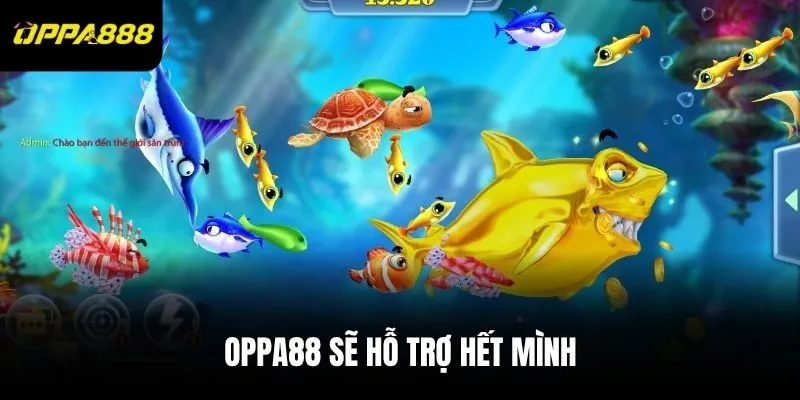 Oppa88 sẽ hỗ trợ hết mình