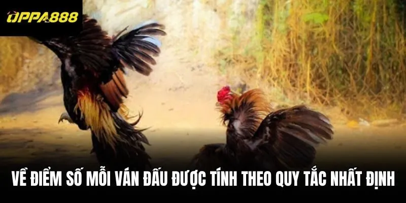 Về điểm số mỗi ván đấu được tính theo quy tắc nhất định