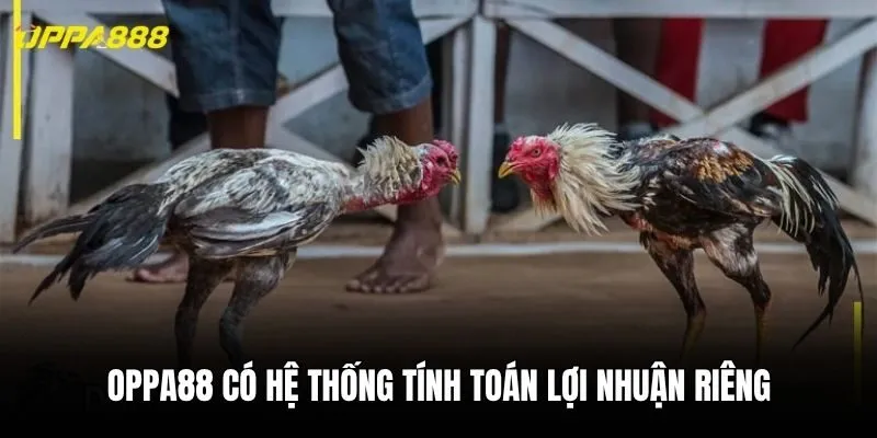 Oppa88 có hệ thống tính toán lợi nhuận riêng