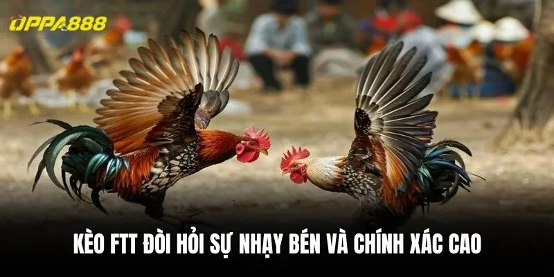 Kèo FTT đòi hỏi sự nhạy bén và chính xác cao