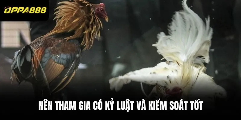 Nên tham gia có kỷ luật và kiểm soát tốt