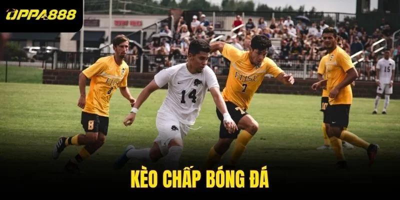 kèo chấp bóng đá
