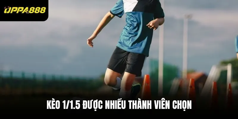 Kèo 1/1.5 được nhiều thành viên chọn