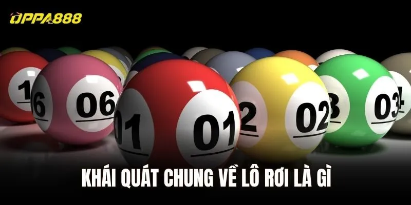 Khái quát chung về lô rơi là gì