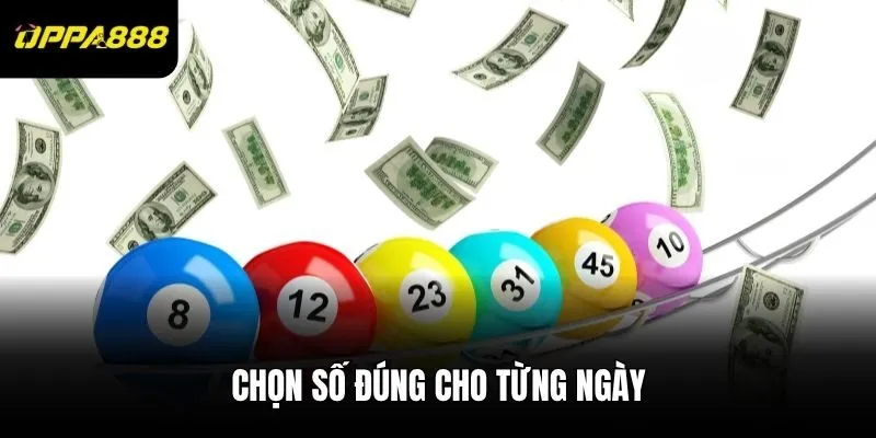 Chọn số đúng cho từng ngày