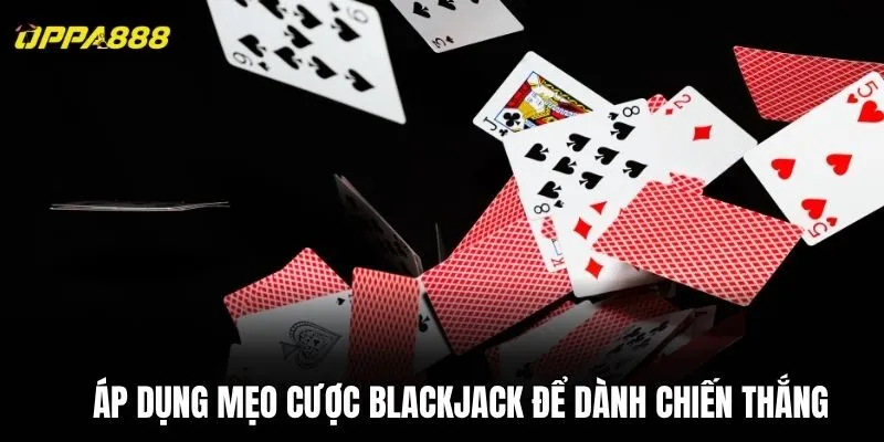 Áp dụng mẹo cược Blackjack để dành chiến thắng