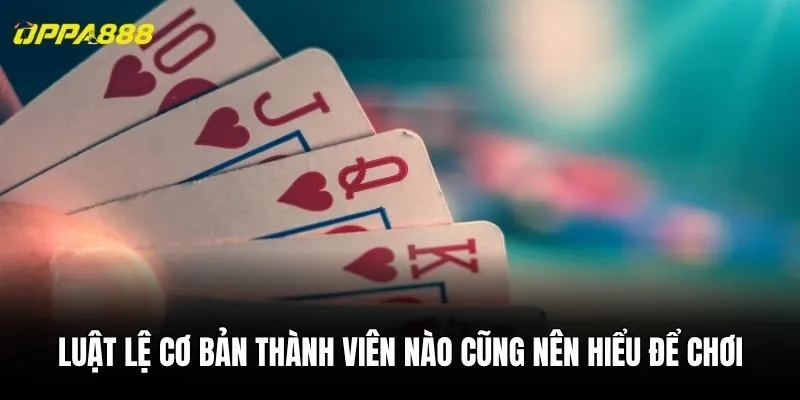 Luật lệ cơ bản thành viên nào cũng nên hiểu để chơi
