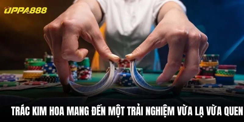 Trác Kim Hoa mang đến một trải nghiệm vừa lạ vừa quen