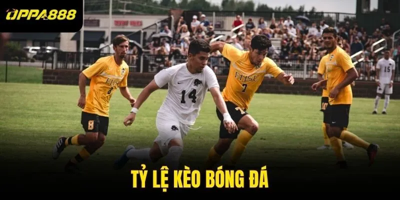 Tỷ Lệ Kèo Bóng Đá