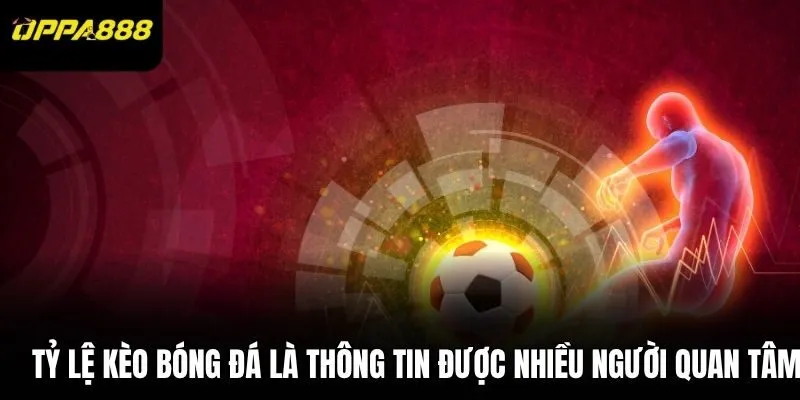 Tỷ lệ kèo bóng đá là thông tin được nhiều người quan tâm