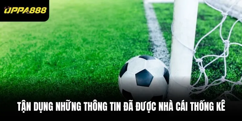 Tận dụng những thông tin đã được nhà cái thống kê